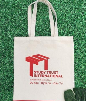 TÚI CANVAS MÀU TRẮNG KEM STUDY TRUST INTERNATIONAL